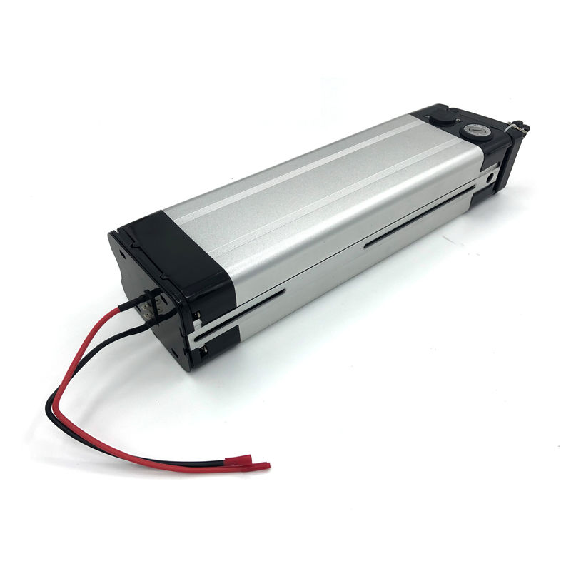 Sliver Fish Type 36v 8ah Lithium Ion Battery Pack met aangepaste
