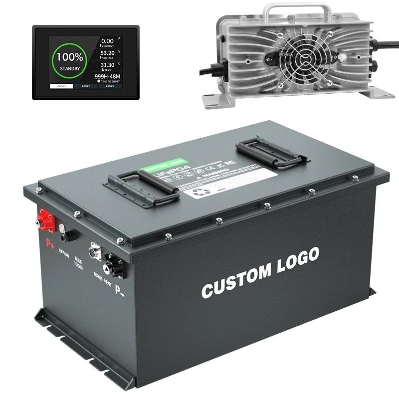 OEM/ODM Lifepo4 batterij Golfkar batterij 24V 36V 48V 72V 50Ah 100Ah 200Ah met Smart BMS