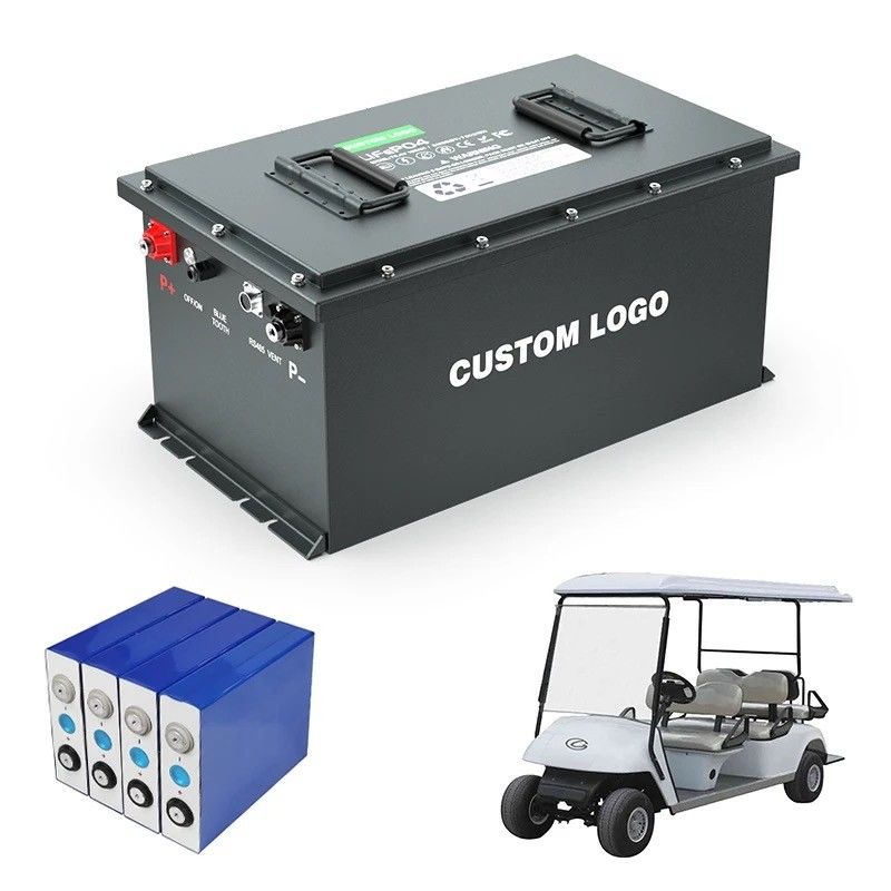 IP67 Lithium Iron Phosphate Battery Golf Cart Lifepo4 Lithium Ion Battery Pack 51.2v Diepe cyclus