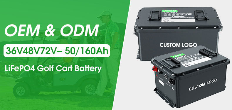 IP67 Lithium Iron Phosphate Battery Golf Cart Lifepo4 Lithium Ion Battery Pack 51.2v Diepe cyclus